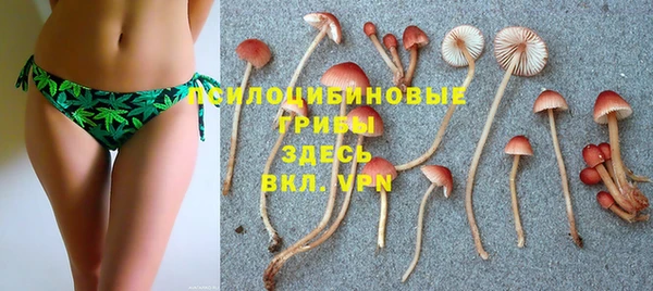 2c-b Михайловск