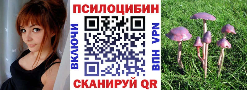 где купить наркоту  Ивангород  Псилоцибиновые грибы мицелий 