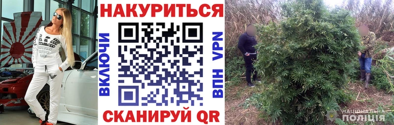 mega как зайти магазин Ивангород Бошки марихуана Bruce Banner